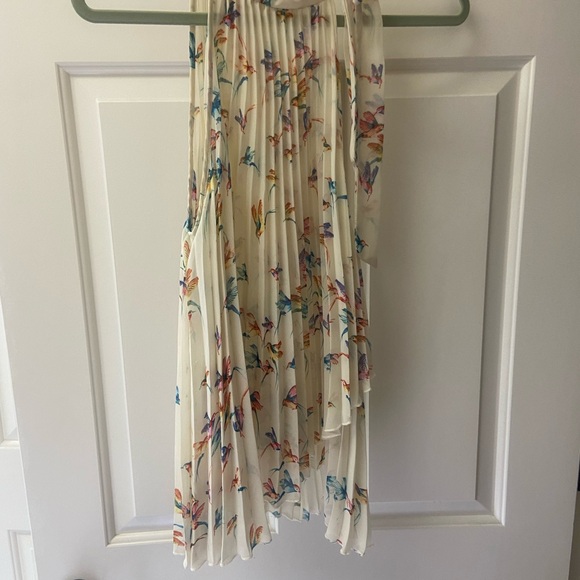 Blush Dresses & Skirts - Blush Cream Hummingbird Pleated Silk Top